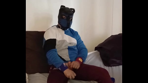 Gay puppy