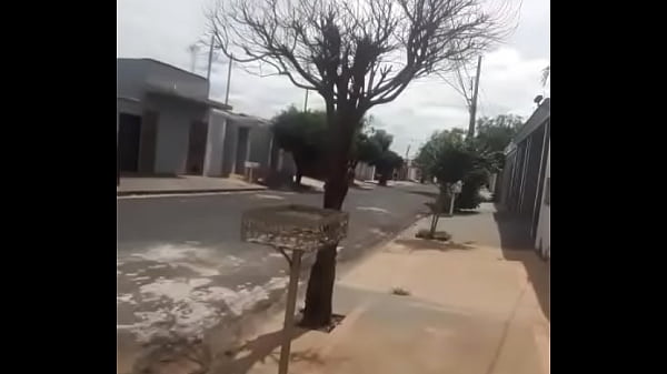 Traveca sapeca 3